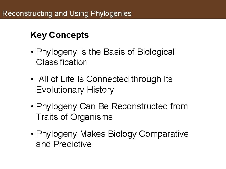 Reconstructing and Using Phylogenies Key Concepts • Phylogeny Is the Basis of Biological Classification