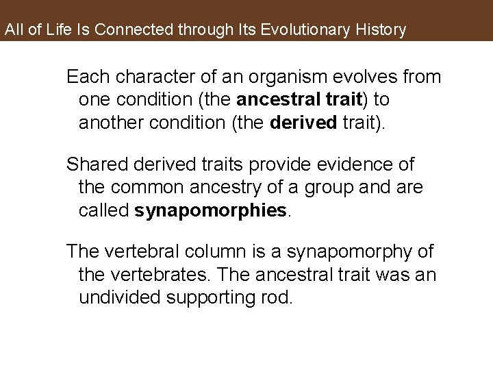 All of Life Is Connected through Its Evolutionary History Each character of an organism