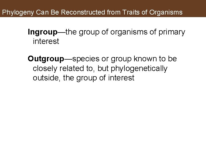 Phylogeny Can Be Reconstructed from Traits of Organisms Ingroup—the group of organisms of primary