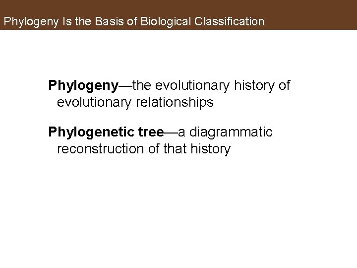 Phylogeny Is the Basis of Biological Classification Phylogeny—the evolutionary history of evolutionary relationships Phylogenetic