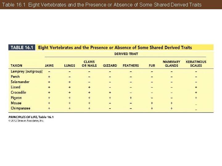 Table 16. 1 Eight Vertebrates and the Presence or Absence of Some Shared Derived