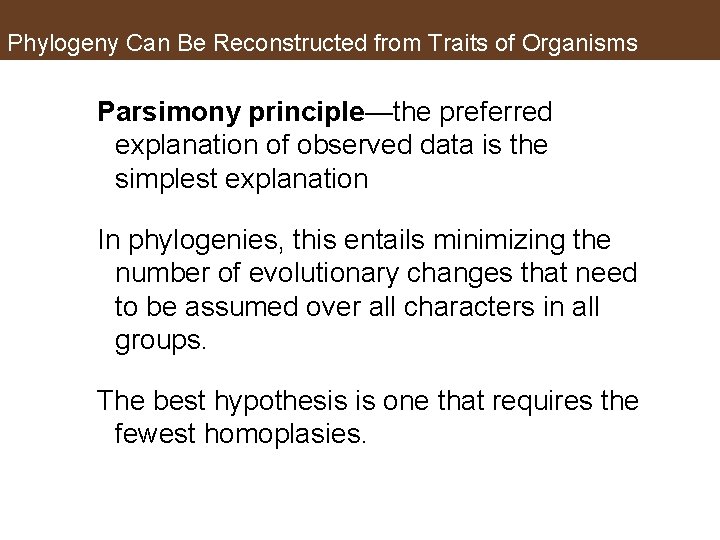 Phylogeny Can Be Reconstructed from Traits of Organisms Parsimony principle—the preferred explanation of observed