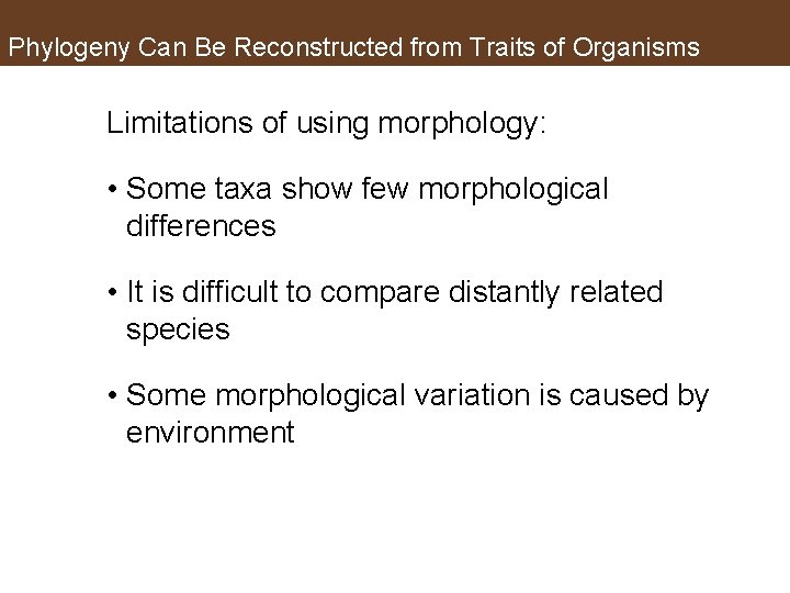 Phylogeny Can Be Reconstructed from Traits of Organisms Limitations of using morphology: • Some