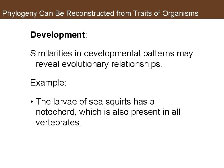 Phylogeny Can Be Reconstructed from Traits of Organisms Development: Similarities in developmental patterns may