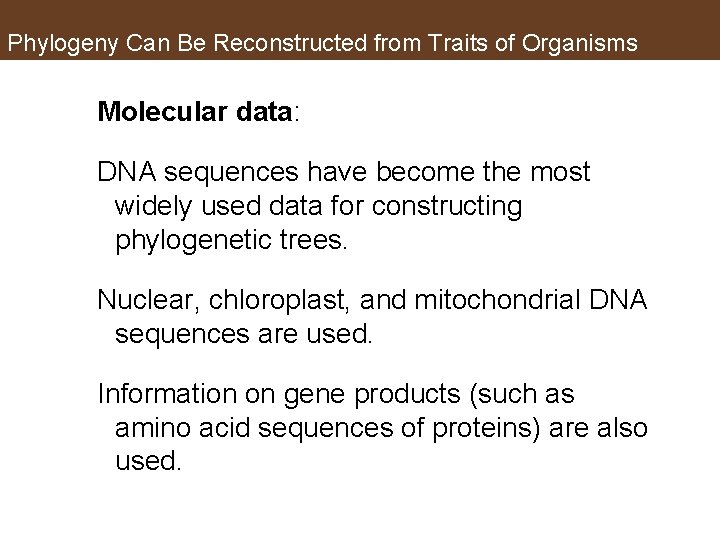 Phylogeny Can Be Reconstructed from Traits of Organisms Molecular data: DNA sequences have become
