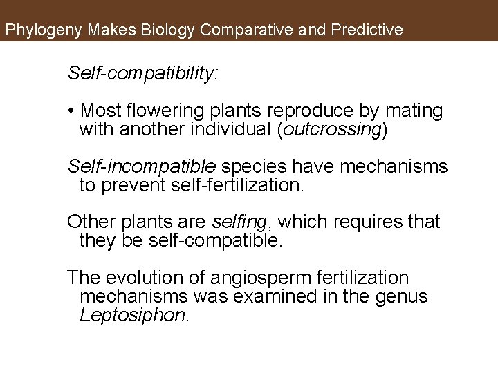 Phylogeny Makes Biology Comparative and Predictive Self-compatibility: • Most flowering plants reproduce by mating