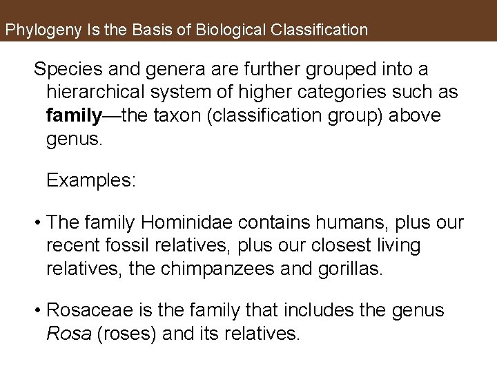 Phylogeny Is the Basis of Biological Classification Species and genera are further grouped into