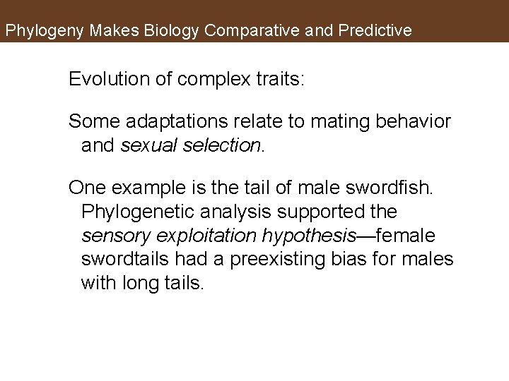 Phylogeny Makes Biology Comparative and Predictive Evolution of complex traits: Some adaptations relate to