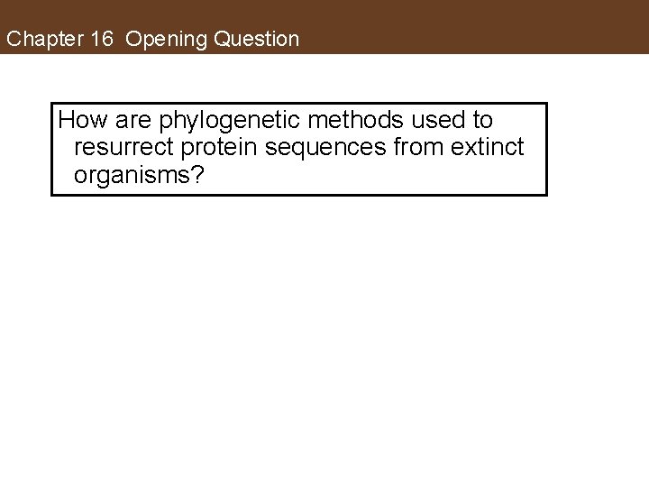 Chapter 16 Opening Question How are phylogenetic methods used to resurrect protein sequences from