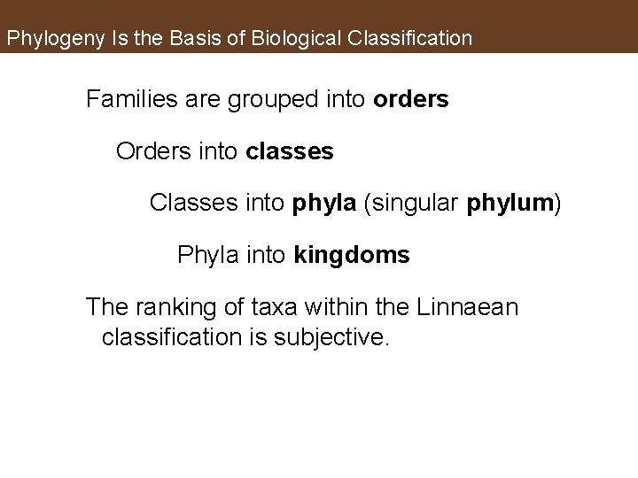 Phylogeny Is the Basis of Biological Classification Families are grouped into orders Orders into