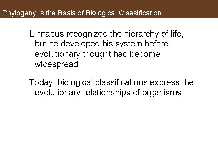 Phylogeny Is the Basis of Biological Classification Linnaeus recognized the hierarchy of life, but