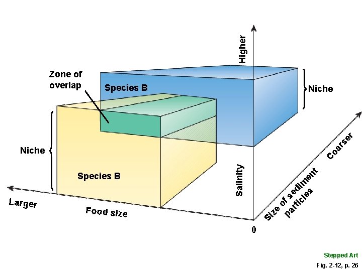 Higher Species B Niche rs e r Zone of overlap e Food size Si