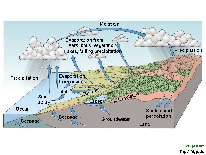 Moist air Evaporation from rivers, soils, vegetation, lakes, falling precipitation Precipitation Evaporation from ocean