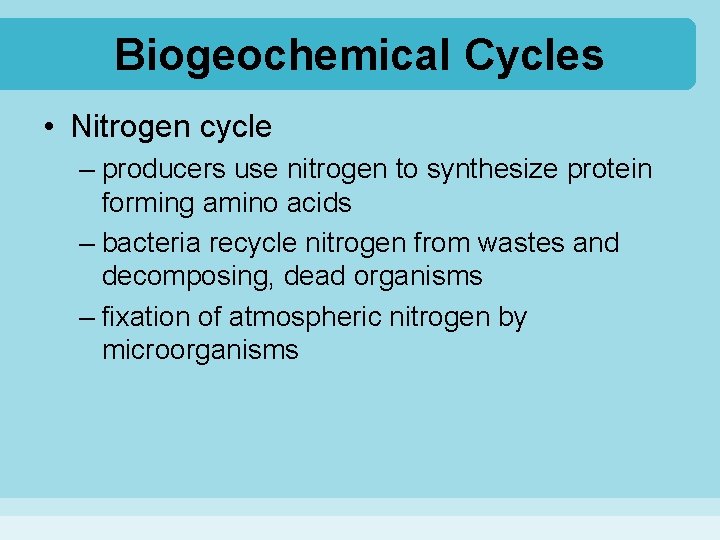 Biogeochemical Cycles • Nitrogen cycle – producers use nitrogen to synthesize protein forming amino