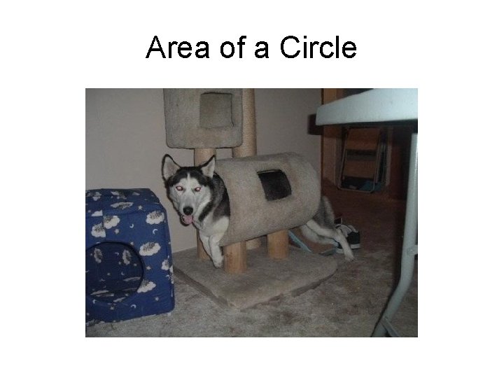 Area of a Circle 