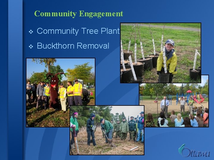 Community Engagement v Community Tree Plantings v Buckthorn Removal 