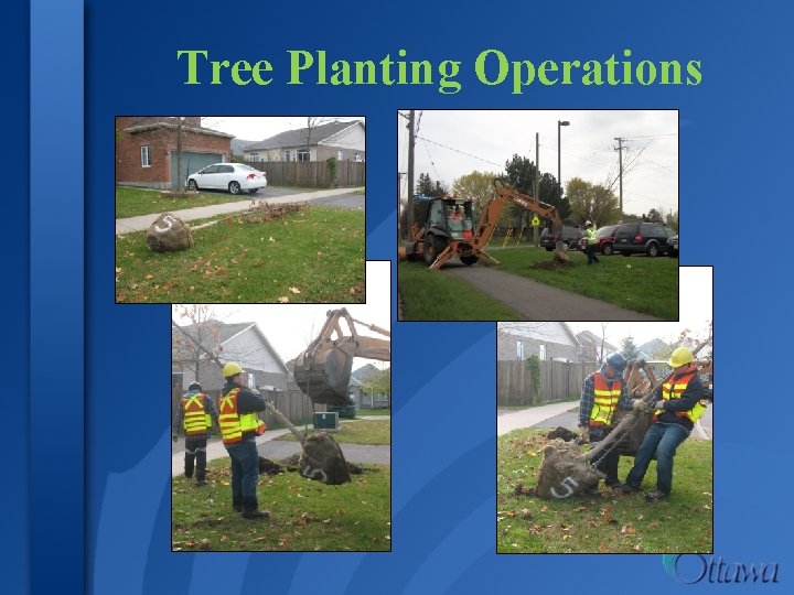 Tree Planting Operations 