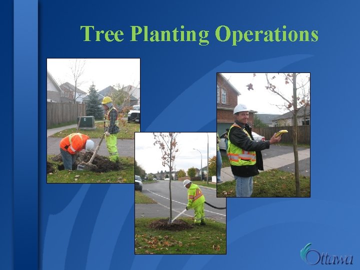 Tree Planting Operations 