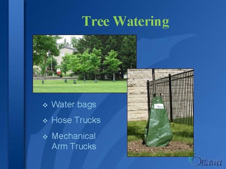 Tree Watering v Water bags v Hose Trucks v Mechanical Arm Trucks 