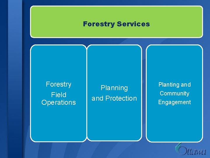 Forestry Services Forestry Field Operations Planning and Protection Planting and Community Engagement 