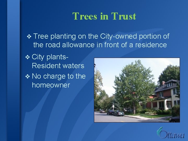 Trees in Trust v Tree planting on the City-owned portion of the road allowance