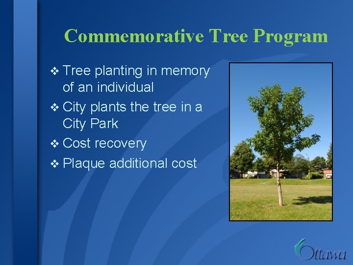 Commemorative Tree Program v Tree planting in memory of an individual v City plants