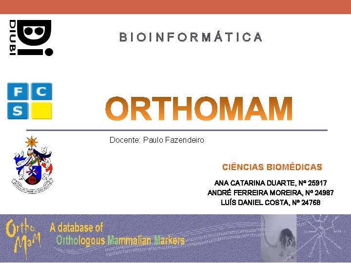 BIOINFORMÁTICA Docente: Paulo Fazendeiro CIÊNCIAS BIOMÉDICAS ANA CATARINA DUARTE, Nº 25917 ANDRÉ FERREIRA MOREIRA,