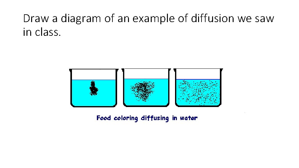Draw a diagram of an example of diffusion we saw in class. 