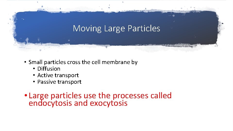 Moving Large Particles • Small particles cross the cell membrane by • Diffusion •