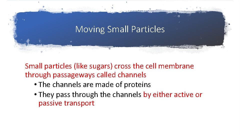 Moving Small Particles Small particles (like sugars) cross the cell membrane through passageways called