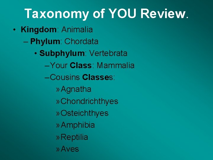 Taxonomy of YOU Review. • Kingdom: Animalia – Phylum: Chordata • Subphylum: Vertebrata –