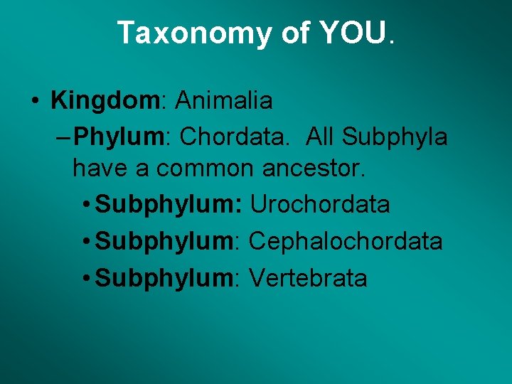 Taxonomy of YOU. • Kingdom: Animalia – Phylum: Chordata. All Subphyla have a common