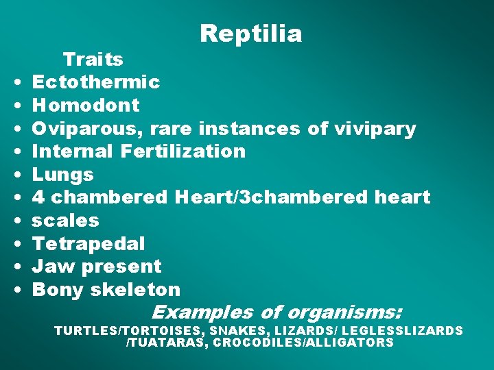 Reptilia • • • Traits Ectothermic Homodont Oviparous, rare instances of vivipary Internal Fertilization