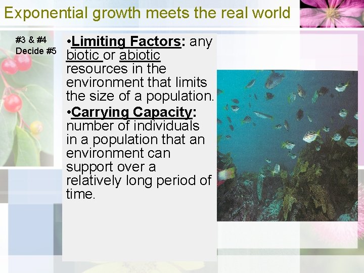 Exponential growth meets the real world #3 & #4 Decide #5 • Limiting Factors: