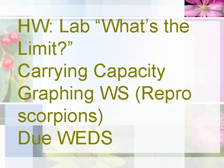 HW: Lab “What’s the Limit? ” Carrying Capacity Graphing WS (Repro scorpions) Due WEDS