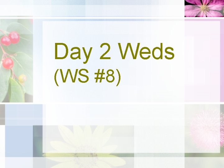 Day 2 Weds (WS #8) 