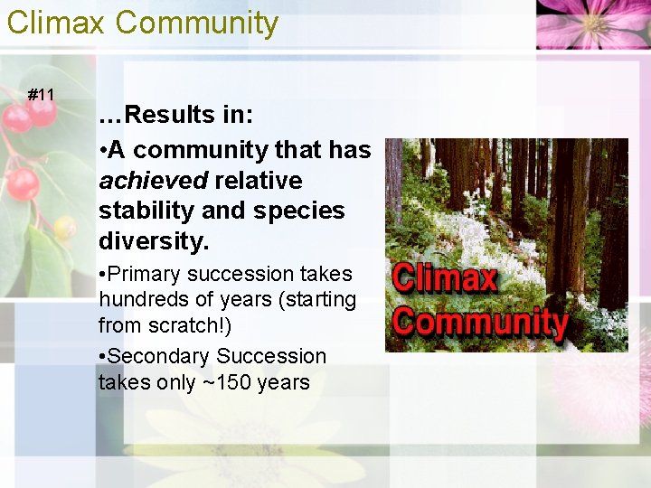 Climax Community #11 …Results in: • A community that has achieved relative stability and
