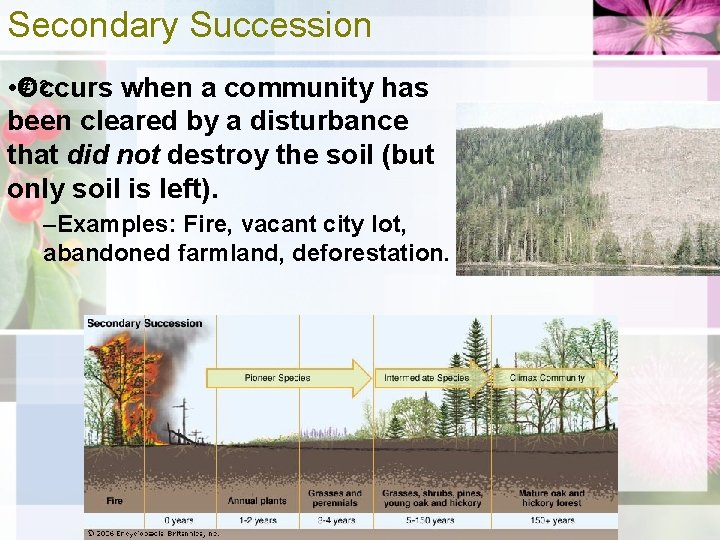 Secondary Succession #12 • Occurs when a community has been cleared by a disturbance