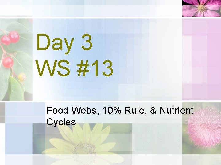 Day 3 WS #13 Food Webs, 10% Rule, & Nutrient Cycles 