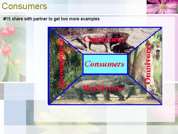 Consumers #15 share with partner to get two more examples 
