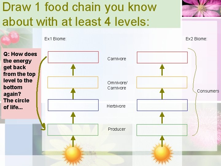 Draw 1 food chain you know about with at least 4 levels: Ex 1
