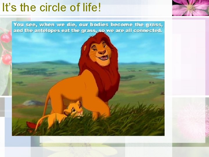 It’s the circle of life! 