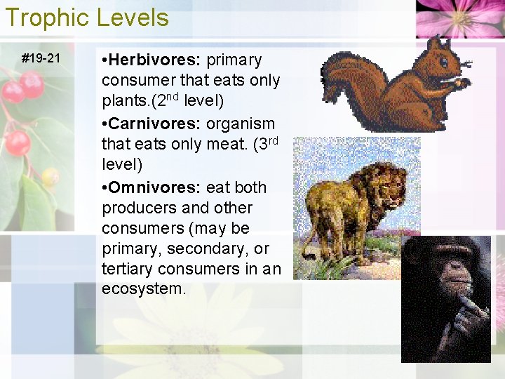 Trophic Levels #19 -21 • Herbivores: primary consumer that eats only plants. (2 nd