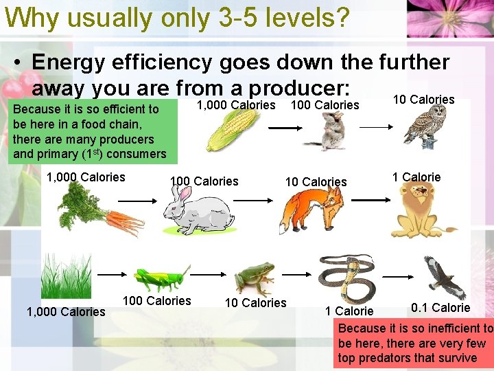 Why usually only 3 -5 levels? • Energy efficiency goes down the further away