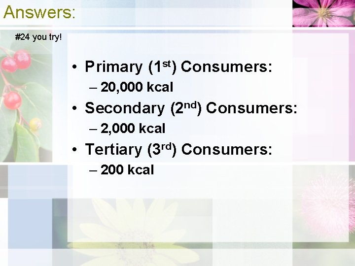 Answers: #24 you try! • Primary (1 st) Consumers: – 20, 000 kcal •