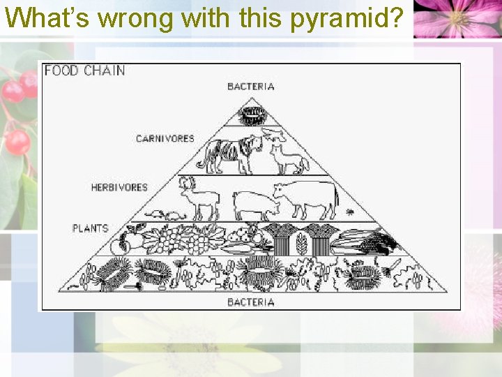 What’s wrong with this pyramid? 