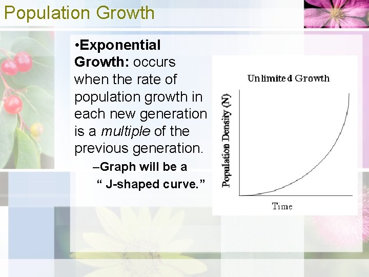Population Growth • Exponential Growth: occurs when the rate of population growth in each