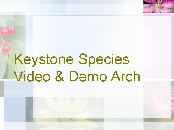 Keystone Species Video & Demo Arch 