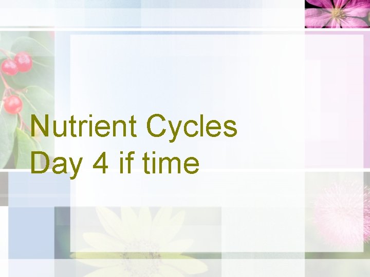 Nutrient Cycles Day 4 if time 