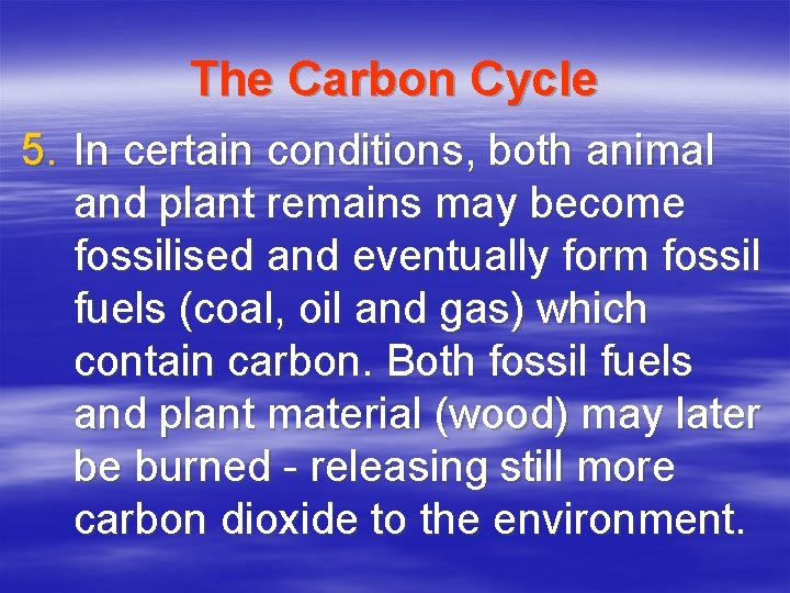 The Carbon Cycle 5. In certain conditions, both animal and plant remains may become